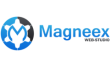 Веб-студия Magneex